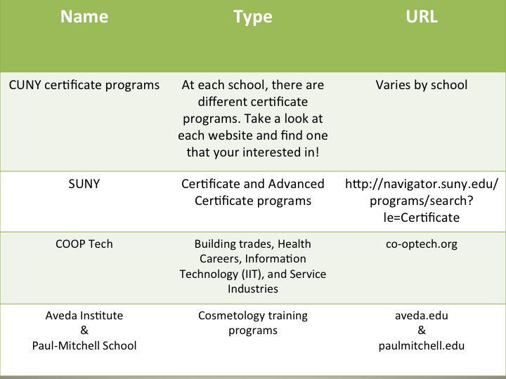 Options in trade schools