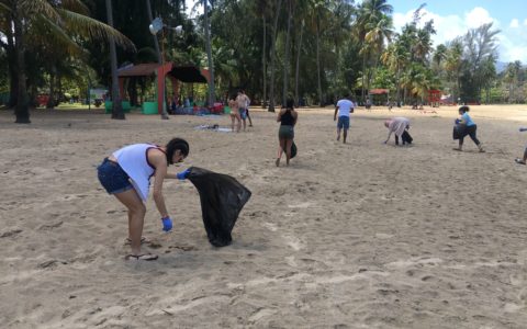 Enrichment Week 2017 – from El Barrio to El Yunque