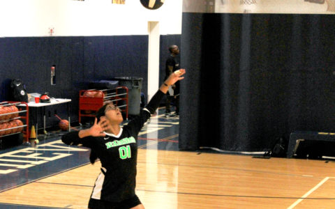Warriors Volleyball Victory!